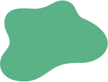 shape-4-1